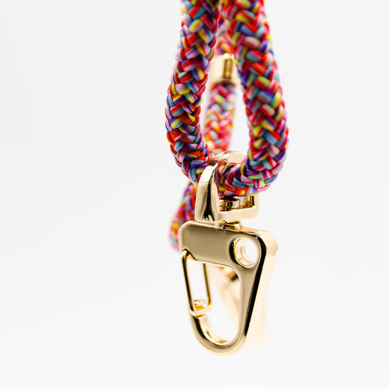 Smart Case TAUPEGRAU | Karabiner-Kordel BUNT